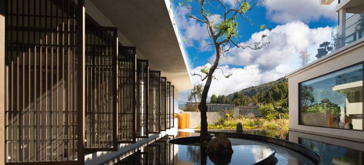 腾冲光谷一宿图片