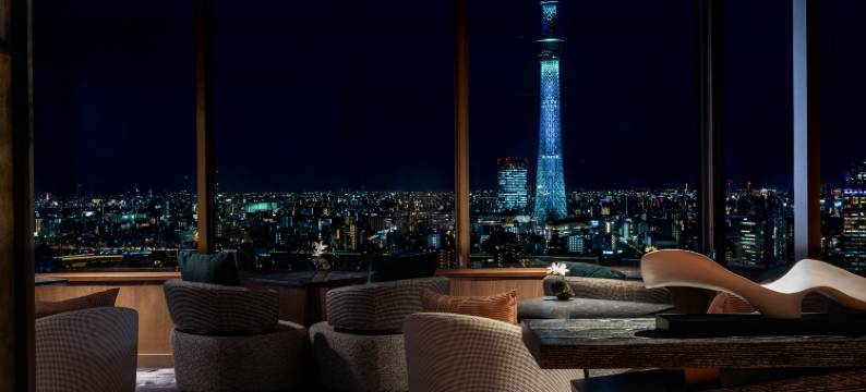 东京浅草豪景酒店(Asakusa View Hotel)图片