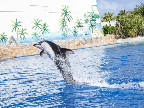 三亚亚特兰蒂斯酒店图片