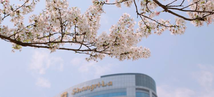 宁波香格里拉大酒店图片