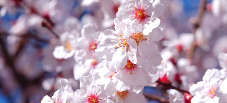 Design Hotels 泸沽湖隐奢逸境酒店图片