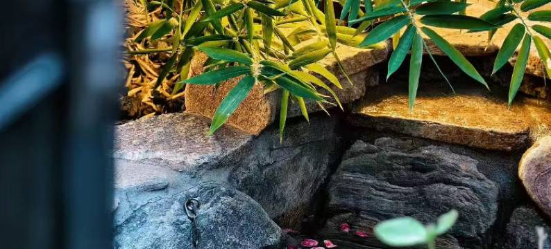 北京水城一瓢私汤度假酒店图片