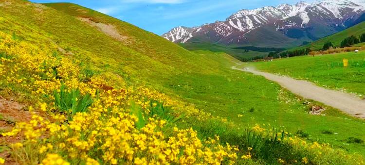 唐布拉百里画廊松果野奢营地图片