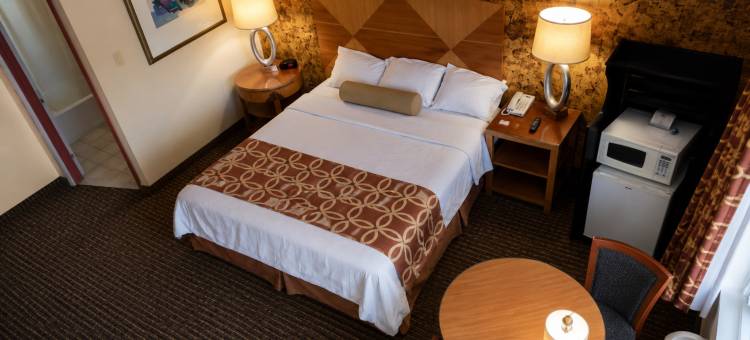 向日葵旅馆，大西洋城阿布西肯(Sunflower Inn Atlantic City Absecon)图片