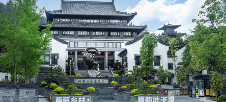 安化叶子湾生态旅游民宿图片