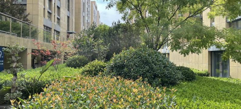 华驿酒店(济南尚东公馆历城二中店)图片