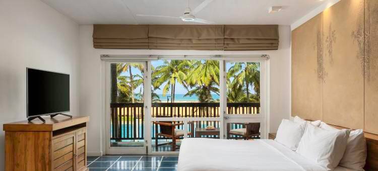 蓝色捷翼(Jetwing Blue)图片