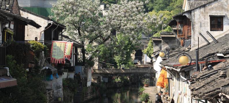 绍兴拾贰朴宿(鲁迅故里店)图片