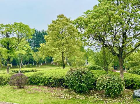 新余华侨豪生大酒店图片