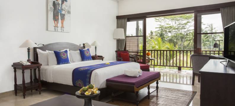 德瓦拉皇家别墅(Dwaraka the Royal Villas)图片