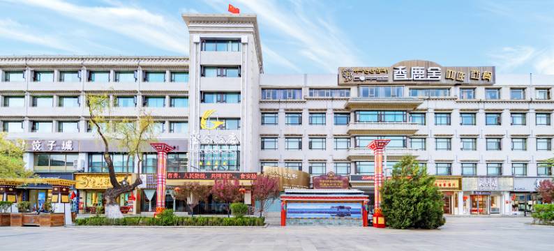 西藏金谷饭店图片