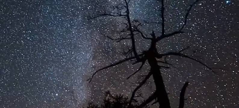 白哈巴一棵树民宿图片