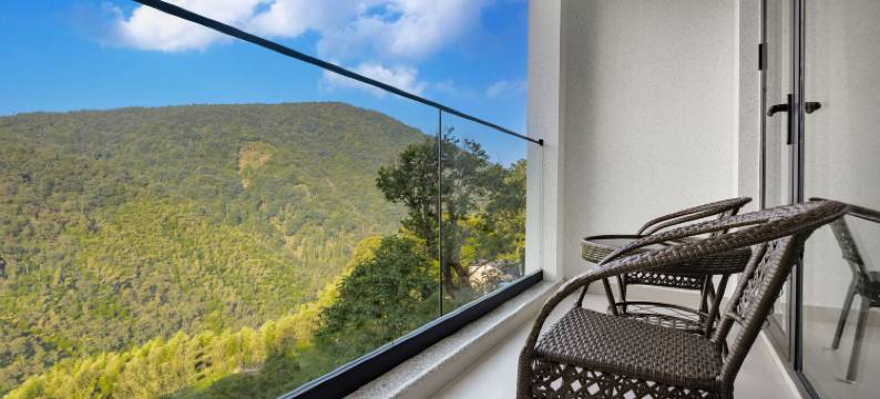 安吉山茶日记·180°云顶望山·滑雪轰趴亲子度假美宿图片