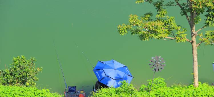 千岛湖念云民宿图片