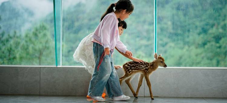 长臂猿度假酒店图片