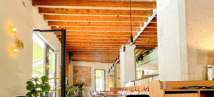 新巴利阿里酒店(NOU Baleares)图片