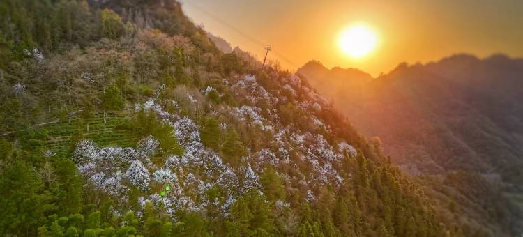 齐云山桂姨小院民宿图片