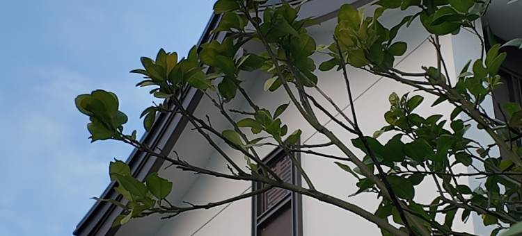 清远湖蝶湾爱尚度假温泉别墅图片