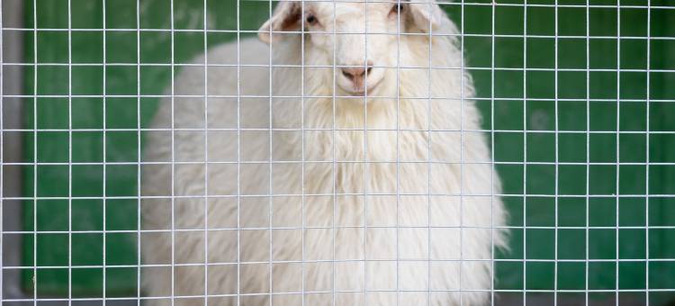 花筑·壹山伴水民宿(茅山东方盐湖城店)图片