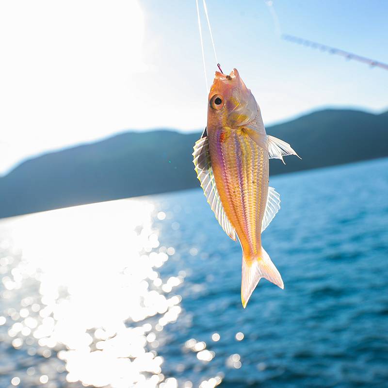 三亚亚龙湾瑞吉度假酒店图片