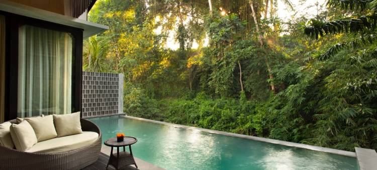 阿迪瓦纳乌纳吉河畔酒店(Adiwana Unagi Riverfront)图片