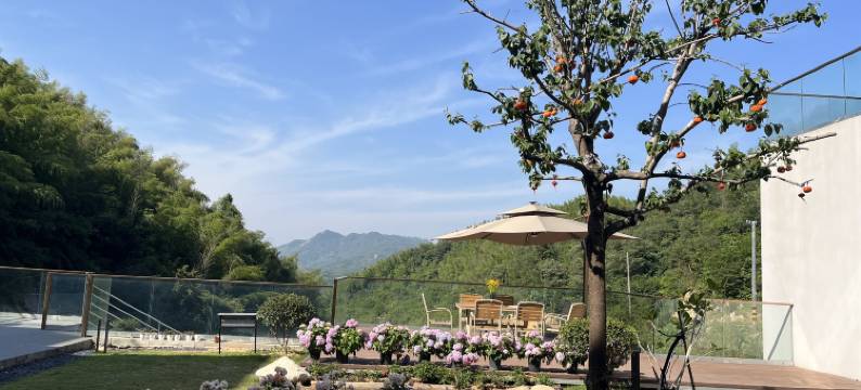 森隐梯田民宿图片