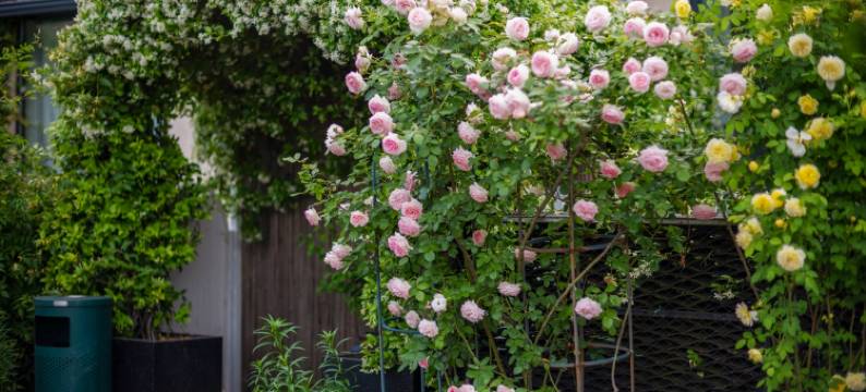 张家界望云居民宿(国家森林公园标志门店)图片