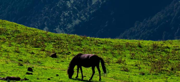 瑞合熙酒店(攀枝花学院万达广场店)图片