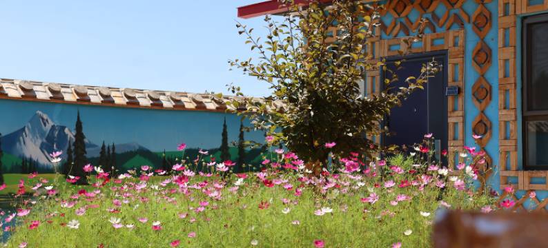 随遇闲庭民宿图片