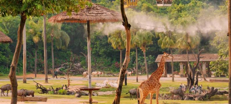 广州万盛名家酒店(广州长隆野生动物世界大石地铁站店)图片