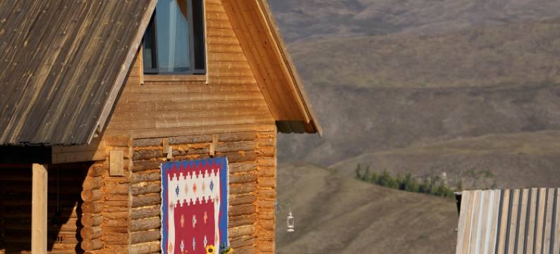 白哈巴野自在民宿图片