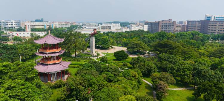 美豪丽致酒店(东莞茶山公园店)图片