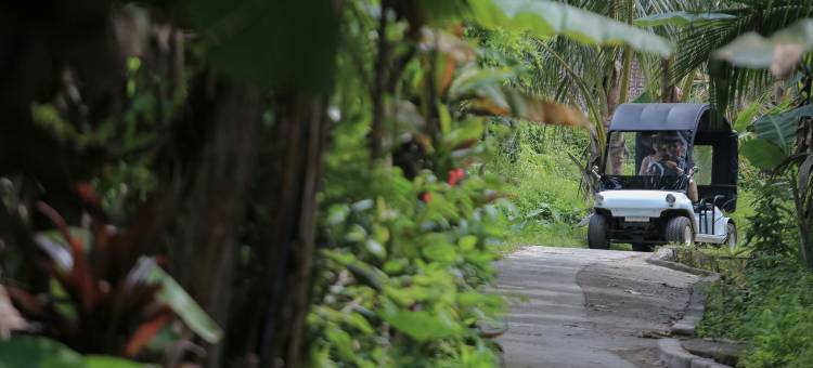 乌布阿斯卡亚(Ascarya Ubud)图片