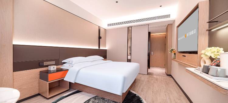 明月湖酒店(田东商都店)图片