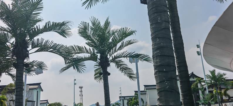 清远朗和泳道温泉度假别墅图片