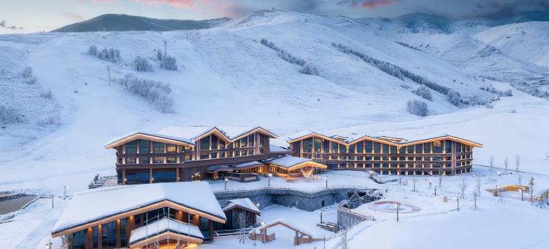 喀纳斯禾木假日度假酒店图片