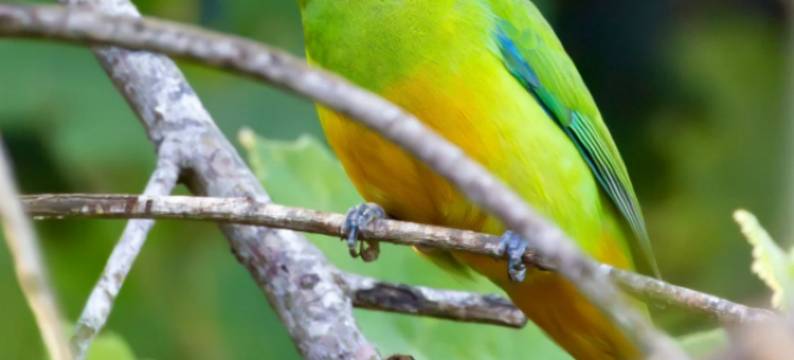 依山半舍·观山|SERENE·PANORAMA 温泉美宿(腾冲和顺古镇店)图片