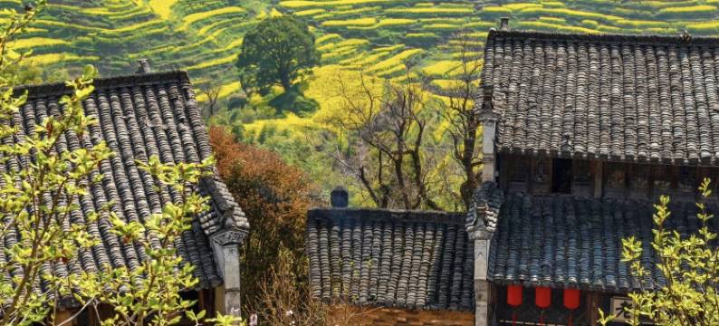 喜山一宿·270°观景晒秋设计美宿(婺源篁岭风景区店)图片