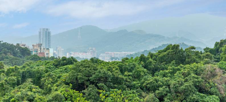 雀客藏居台北内湖图片