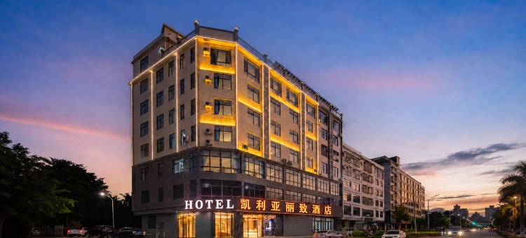 凯利亚丽致酒店(琼海万泉河环球春天广场店)图片