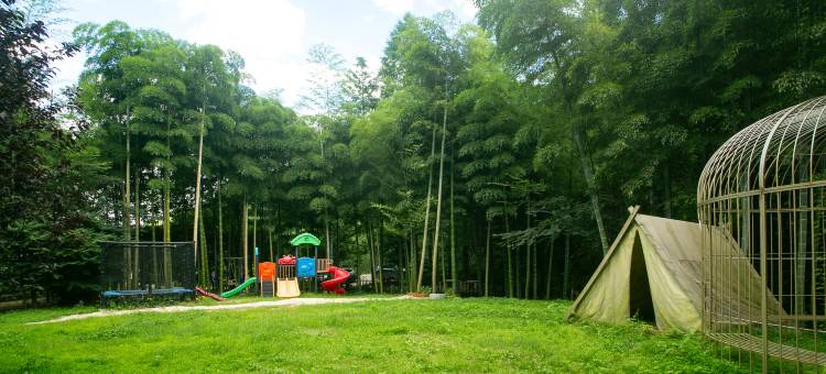 莫干山开臣璞居竹海温泉美宿图片
