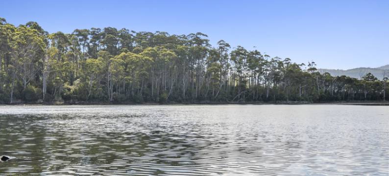 狐狸与猎犬历史酒店(The Fox and Hounds Historic Hotel)图片