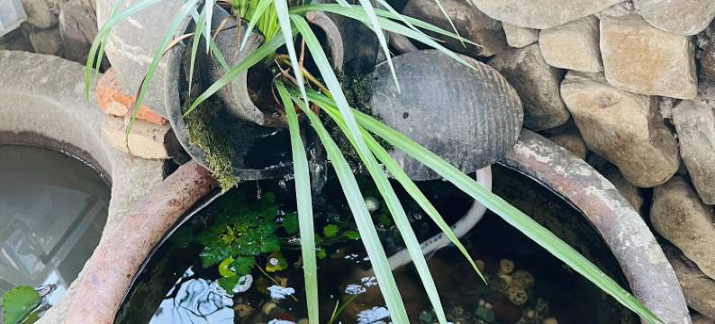 莫干山·栖山南苑度假屋图片