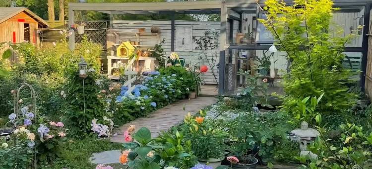 向山的岛·观景独院Tipsy设计师轻奢美宿(丽江古城店)图片
