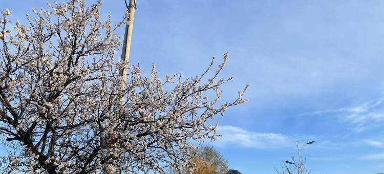 北京八达岭军都山酒店图片