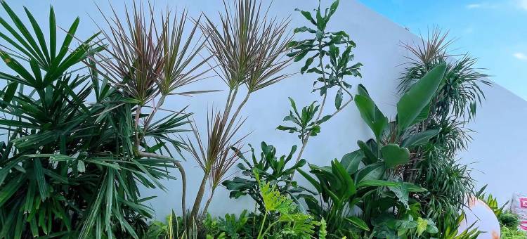 青季酒店(乐清南大街店)图片