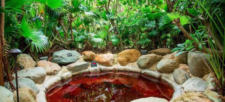 惠州双月湾 · 檀舍TANHOUSE图片