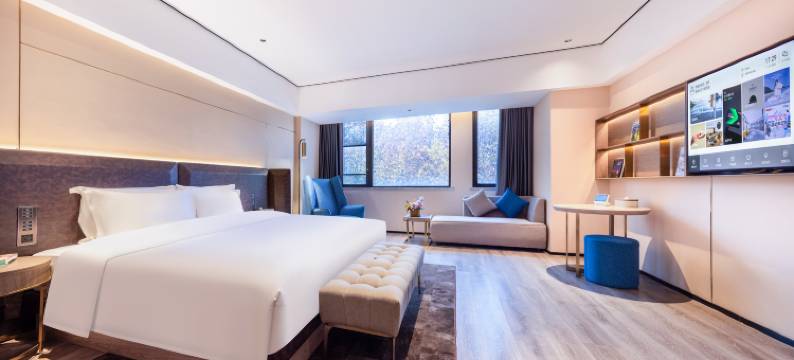 武汉站西广场亚朵X酒店图片