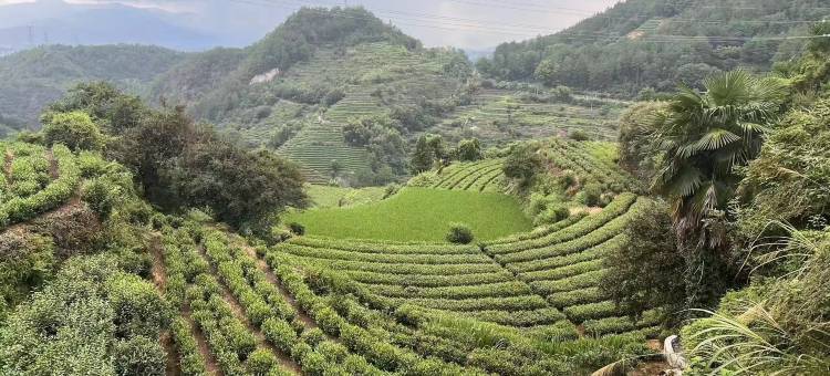杨家堂伴山民宿图片