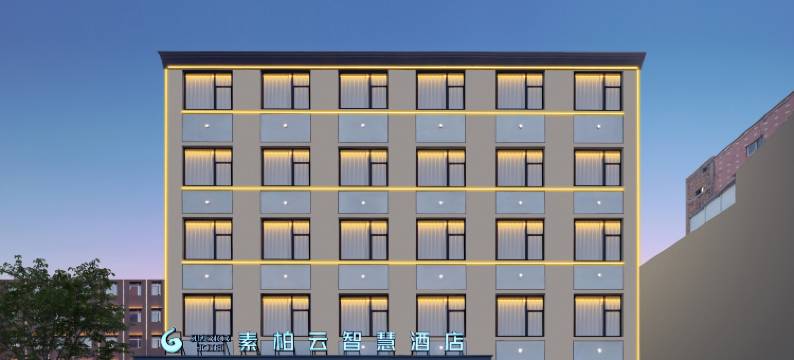 柏素云智慧酒店(杞县银河南路欣泰百货店)图片